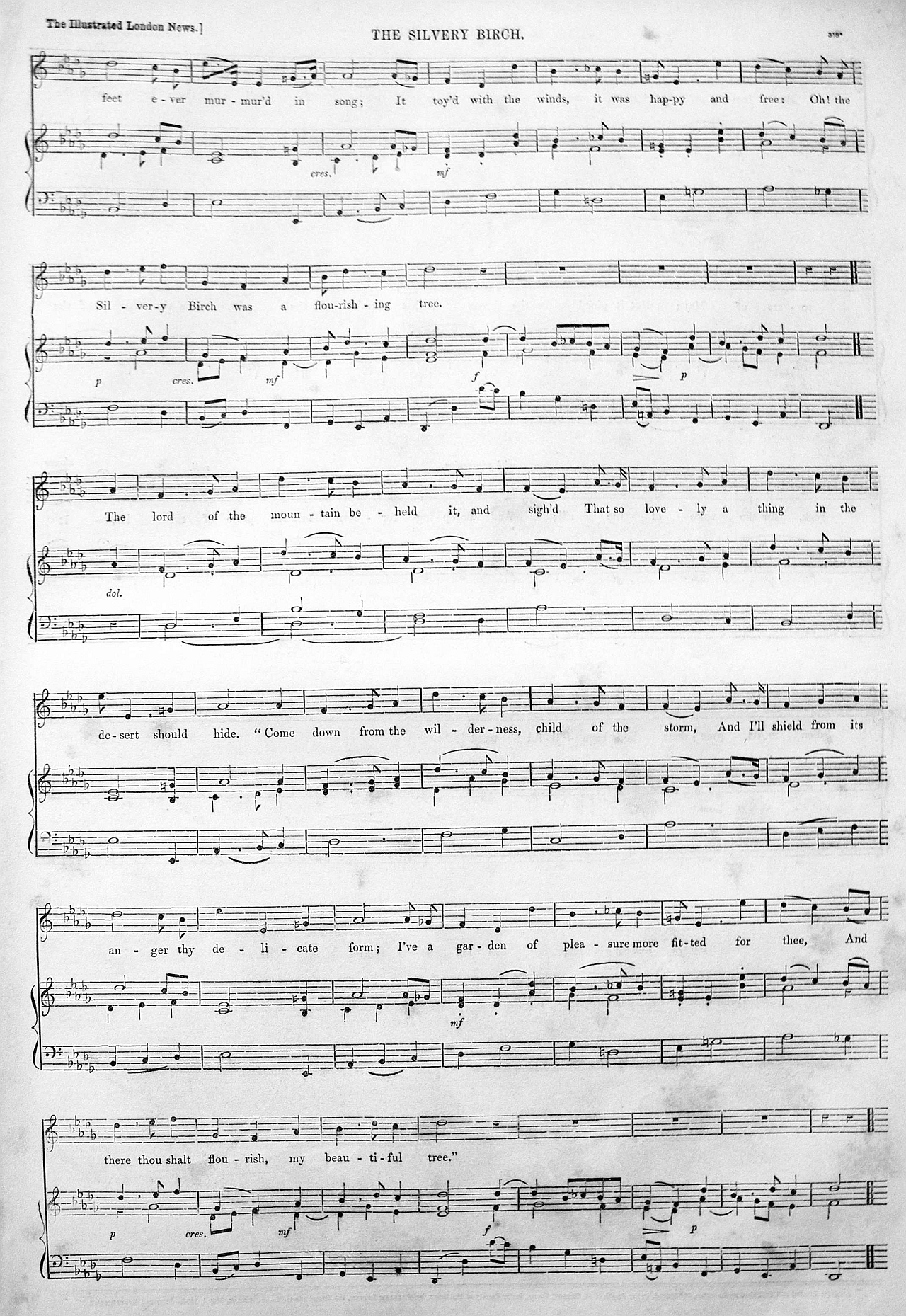 the silvery birch may 1 1852 2